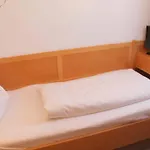 罗特尔翰酒店 酒店 雷根斯堡