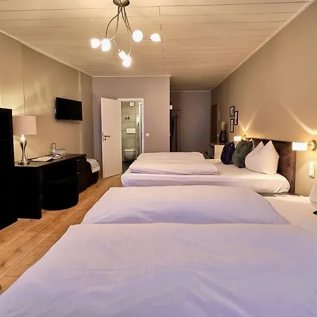 Hotel Roter Hahn Ratisbona